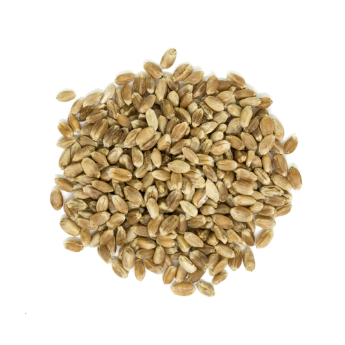 Westpoint Organic Wheat Kernels Hard, 20 kg