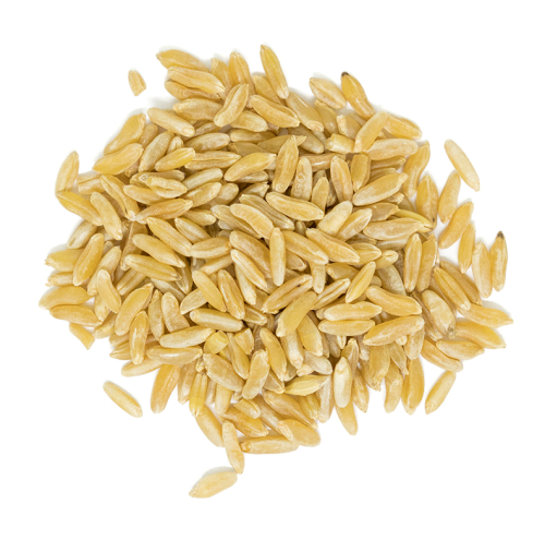 Westpoint Organic Kamut Kernels, 10 kg