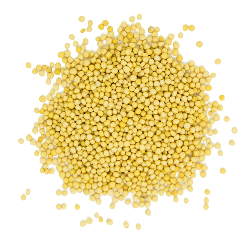 Westpoint Mustard Seed Whole Yellow, 2 kg