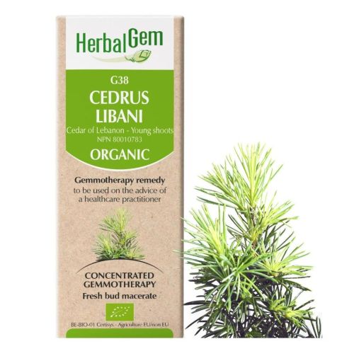HerbalGem Cedrus Libani (Cedar of Lebanon) G38, 15 ml