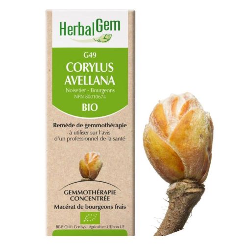 HerbalGem Corylus Avellana (Hazel) G49, 15 ml
