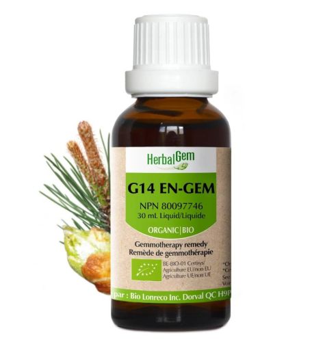 HerbalGem G14 En-Gem, 30 ml