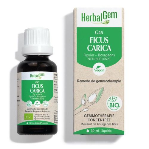 HerbalGem Ficus Carica (Fig) G45, 30 ml