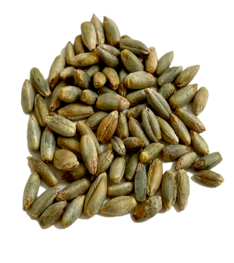 Westpoint Organic Rye Kernels, 10 kg