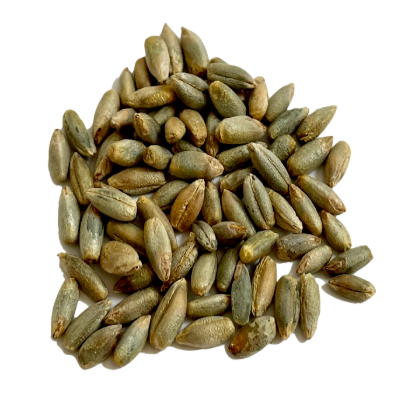  Westpoint Organic Rye Kernels, 20 kg
