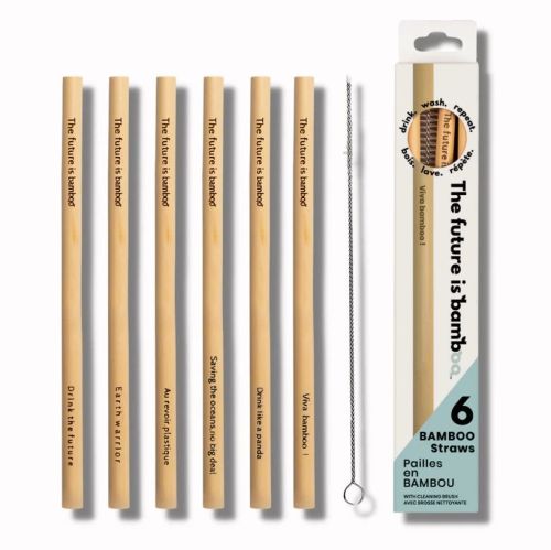 The Future is Bamboo Bamboo Straws 6/pk