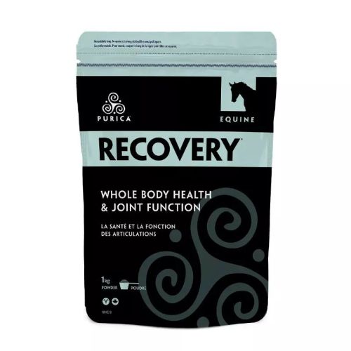 PURICA Equine Recovery REGULAR STRENGTH Powder