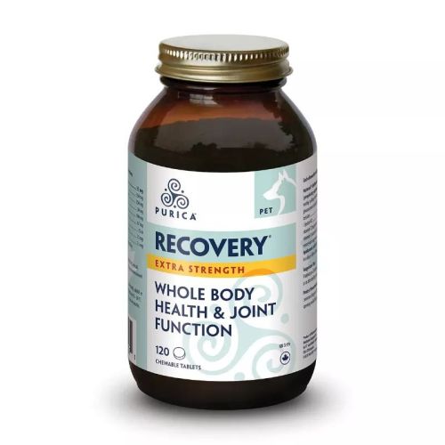 PURICA Pet Recovery EXTRA STRENGTH Delicious flavoured chewables