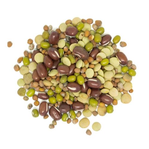 Westpoint Organic Sprouting Mix, Bean Salad, 2 kg