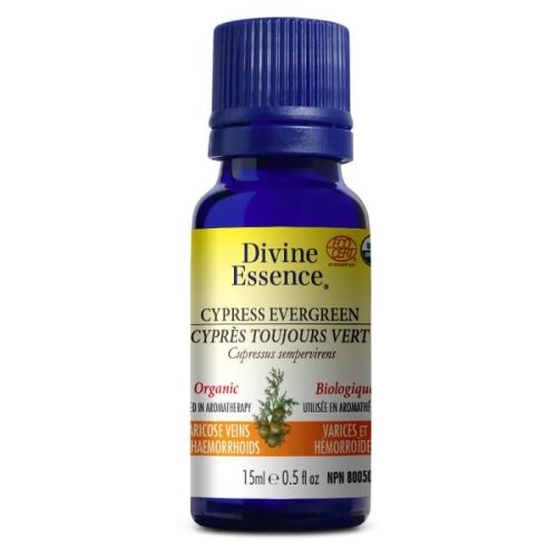 Divine Essence Cypress - Evergreen Organic