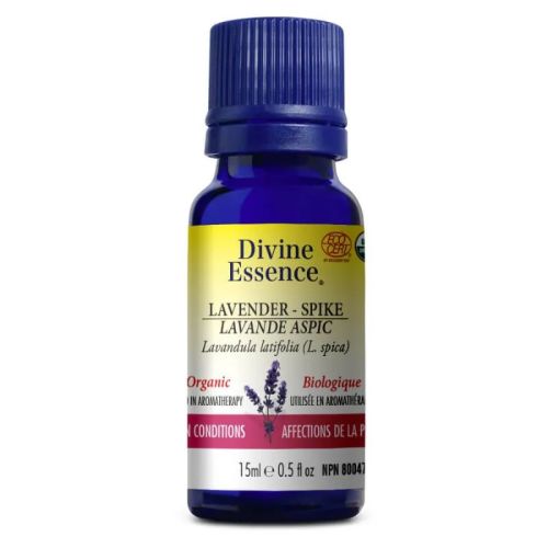 Divine Essence Lavender - Spike Organic