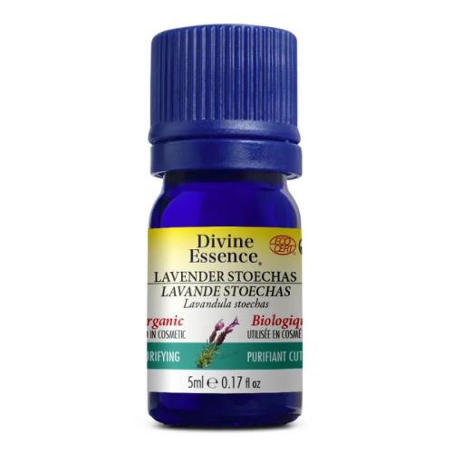 Divine Essence Lavender - Stoechas Organic