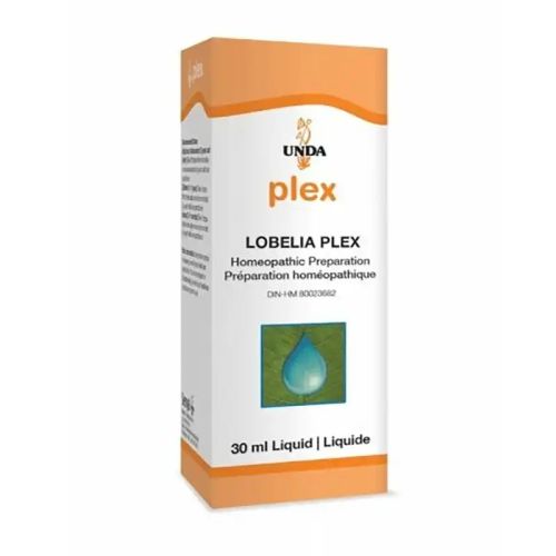 Lobelia Plex