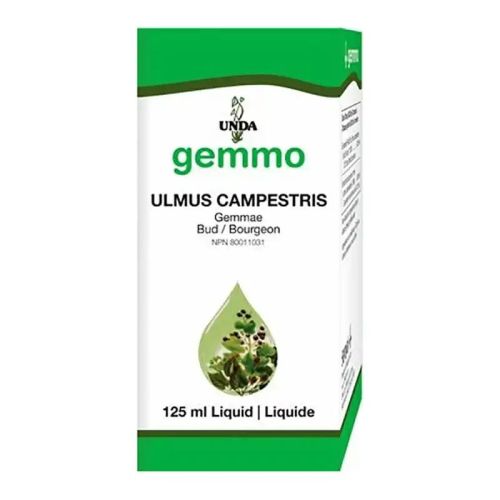 Ulmus campestris 125 ml