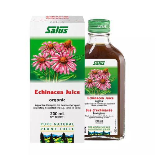Echinacea+Plant+Juice