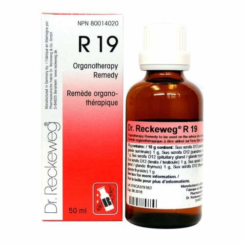 r19-dr-reckeweg