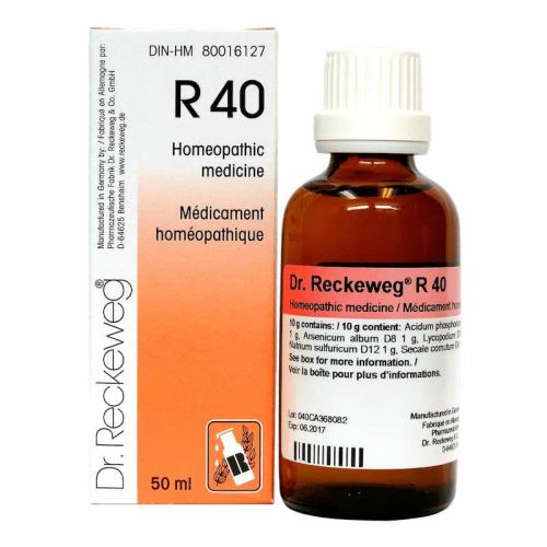 r40-dr-reckeweg