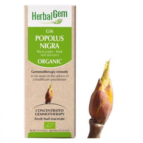HerbalGem-Populus-nigra