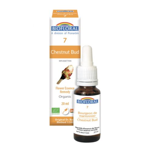 Biofloral-No-7-Chestnut-Bud