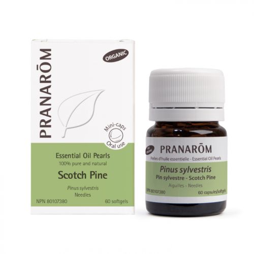 Pranarom-Scotch-Pine-Essential-Oil-Pearls