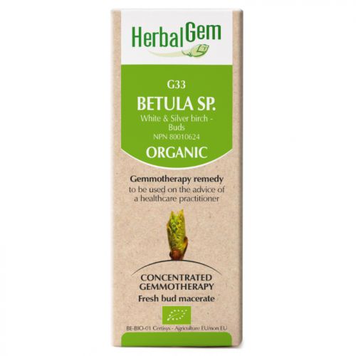 HerbalGem-Betula-sp-G33-50-ml