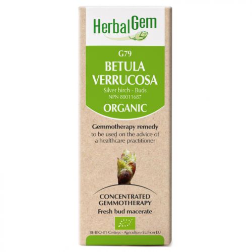 HerbalGem-Betula-verrucosa-G79