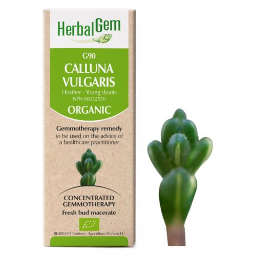 HerbalGem-Calluna-vulgaris-G9