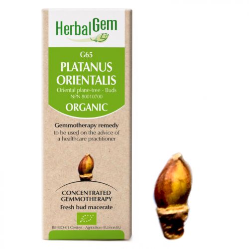 HerbalGem-Platanus-orientalis-G65
