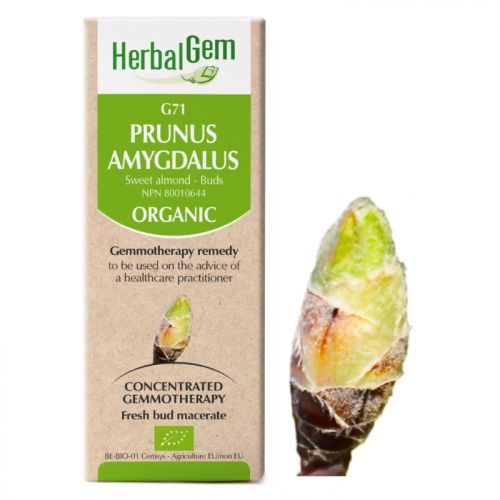 HerbalGem-Prunus-amygdalus-G71