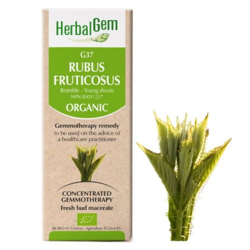 HerbalGe-Rubus-fruticosus-G37