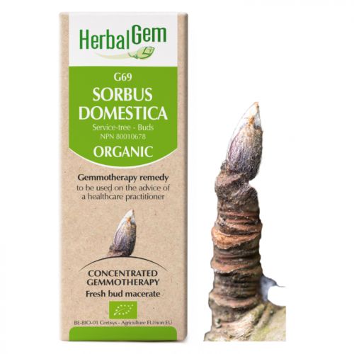 HerbalGem-Sorbus-domestica-G69