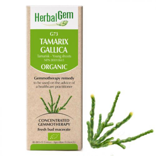 HerbalGem-Tamarix-gallica-G73