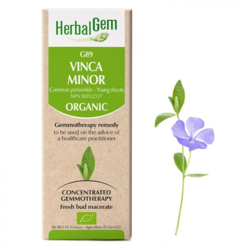 HerbalGem-Vinca-minor-G89