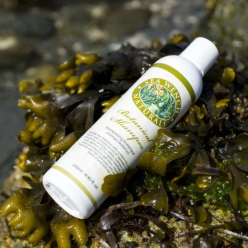 Sea Wench Botanical Shampoo - 250 ml