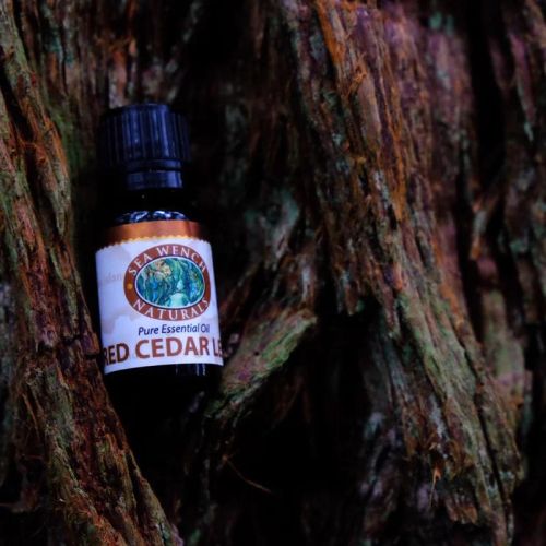 Sea Wench Naturals Coastal Red Cedar Leaf Oil