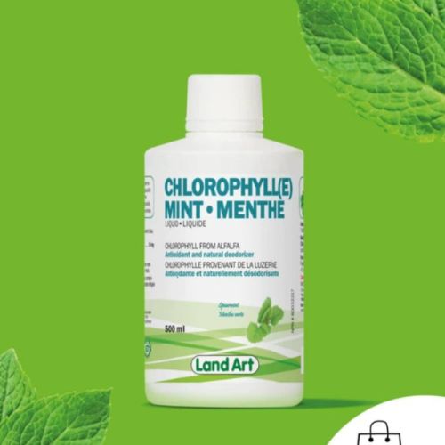 Land Art Chlorophyll Mint, 500ml
