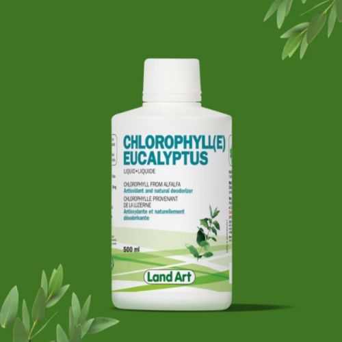 Land Art Chlorophyll Eucalyptus, 500ml