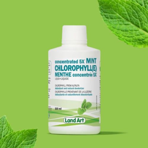 Land Art Chlorophyll(e) Conc. 5X Mint, 500ml