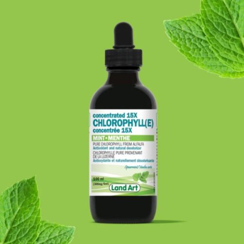 Land Art Chlorophyll Concentrated 15X Mint, 100ml
