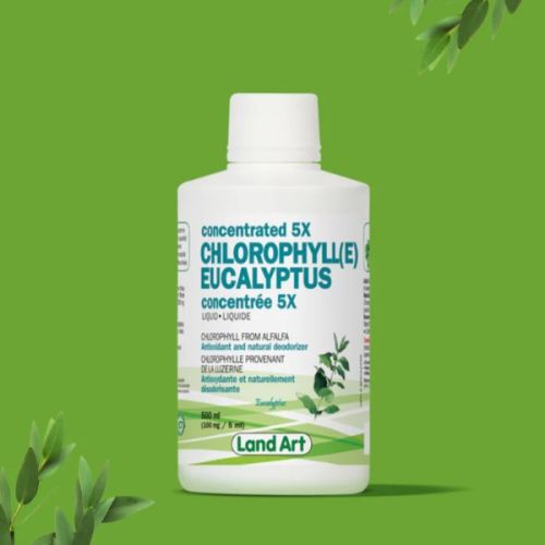 Land Art Chlorophyll Conc. 5x Eucalyptus, 500ml