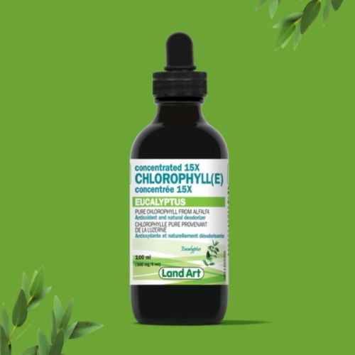 Land Art Chlorophyll Conc. 15X Eucalyptus, 100ml