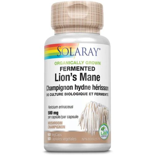 076280251210 Fermented Lion's Mane Mushroom