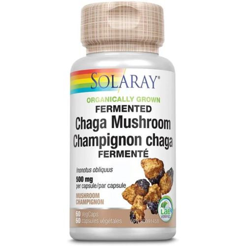 Solaray Organically Grown Fermented Chaga Mushroom 500mg, 60 VegCaps