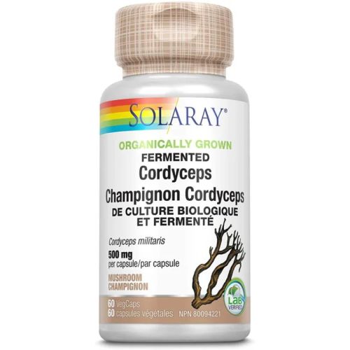 076280868920 Fermented Cordyceps Mushroom