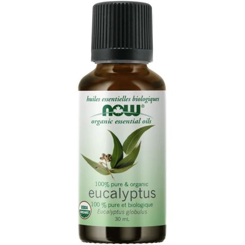 EucalyptusOrganic1