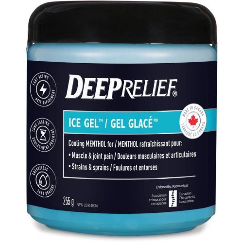 Deep Relief Regular Strength Ice Cold Pain Relief Gel, 255 g