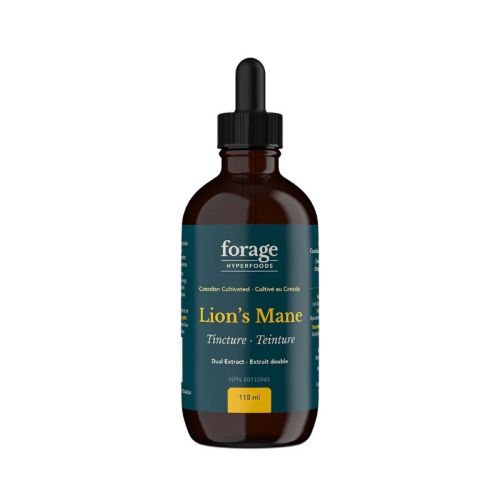 Forage Hyperfoods Lion's Mane Tincture - Original, 118 mL