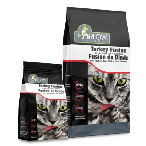 Harlow Blend Turkey Fusion Cat