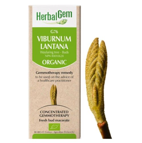 HerbalGem Viburnum Lantana (Wayfaring-tree) G76, 15 ml