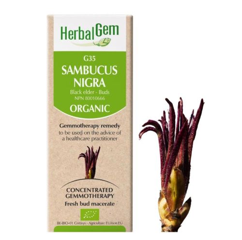 HerbalGem Sambucus Nigra (Black Elder) G35, 50 ml